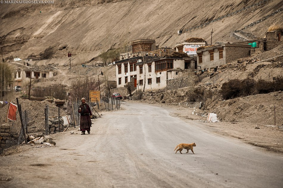 Tibet, Ladakh, Leh, 2012. Marina Kanygina (Fedoseeva) photography