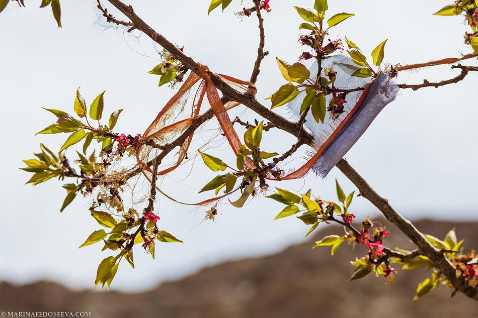 Tibet, Ladakh, Leh, 2012. Marina Kanygina (Fedoseeva) photography