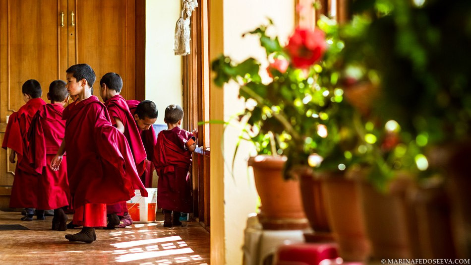 Tibet, Ladakh, Leh, 2012. Marina Kanygina (Fedoseeva) photography