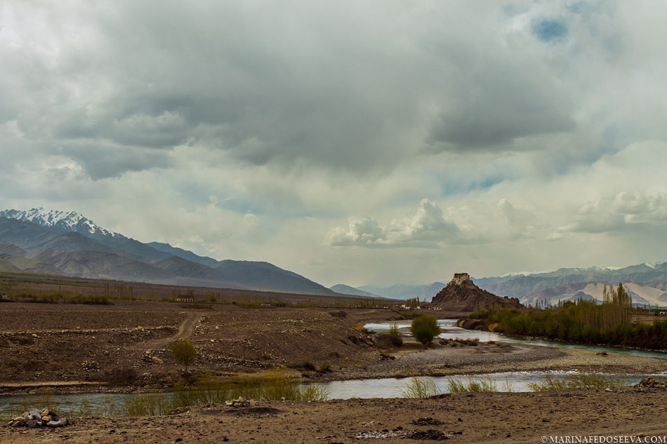 Tibet, Ladakh, Leh, 2012. Marina Kanygina (Fedoseeva) photography