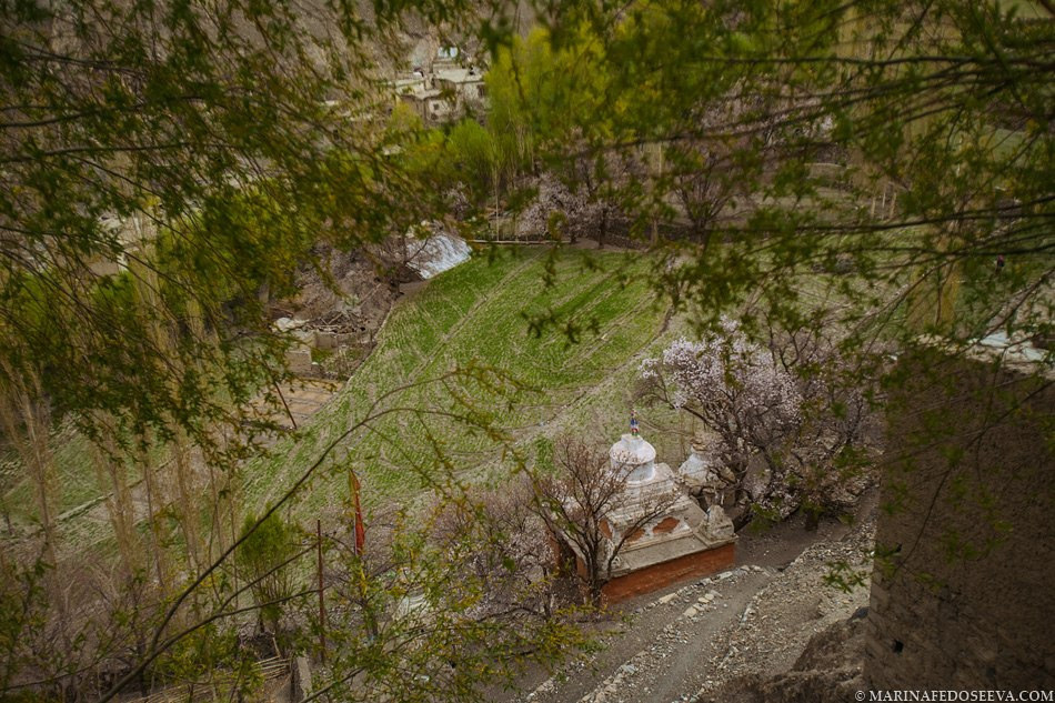Tibet, Ladakh, Leh, 2012. Marina Kanygina (Fedoseeva) photography