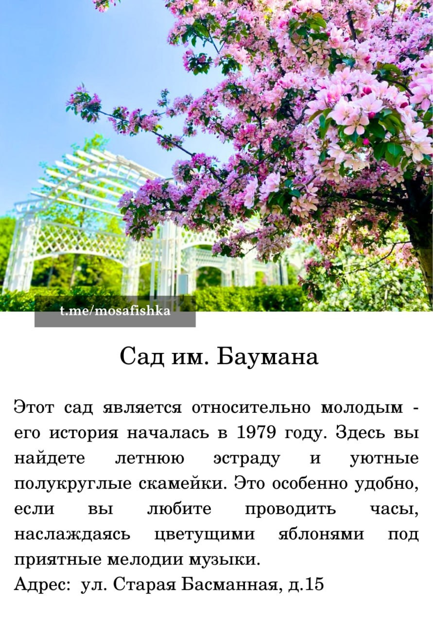 Локации для фотосессии в Москве