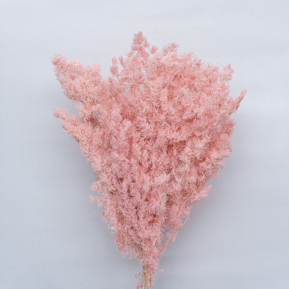 Сухоцветы. Фотограф в Екатеринбурге Яна Круташова