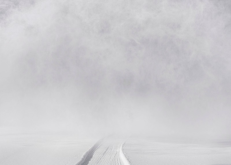 Атлас первого снега серия фотографий. Елена Аносова — художница и исследовательница, куратор и лектор