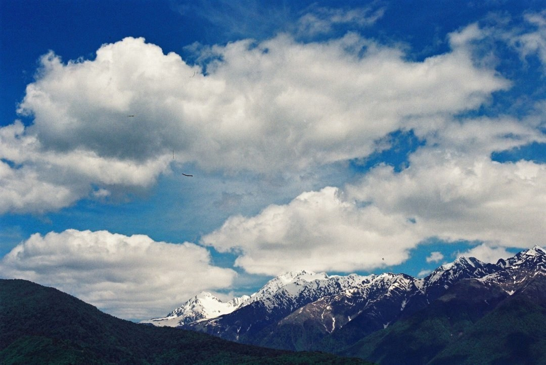 Плёнка 2016. Анастасия Либерти