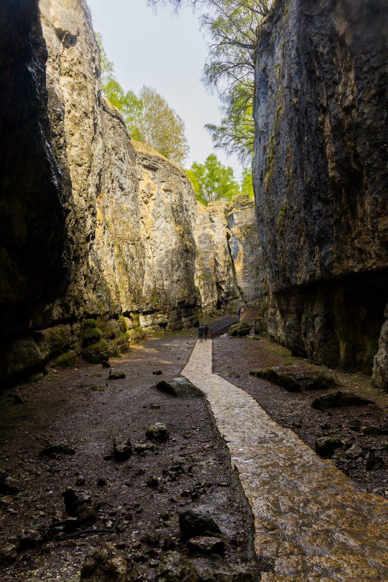 Каменная чаша. Photomantis