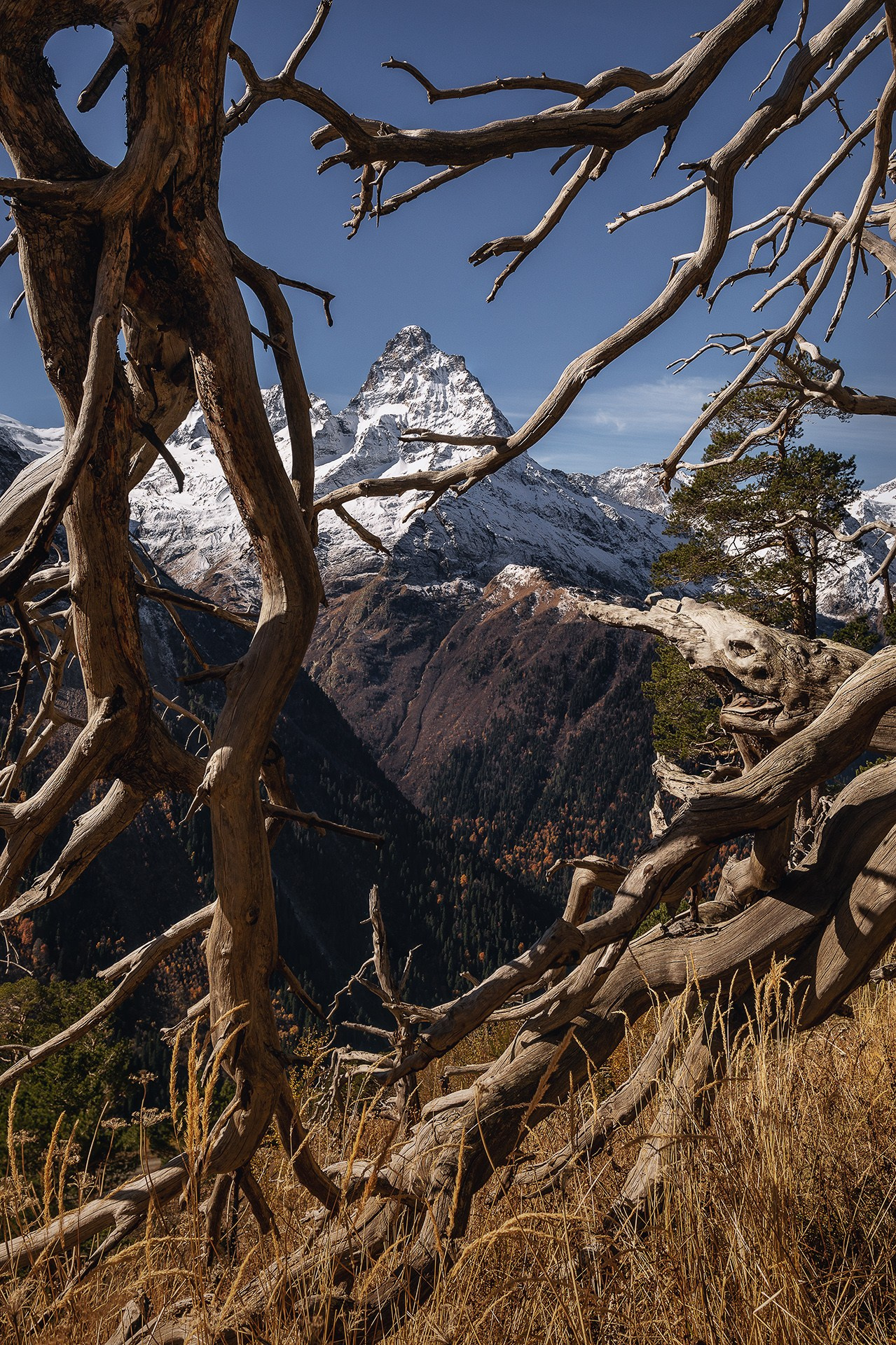 Осенний Кавказ 2024| Фотограф Дмитрий Купрацевич. Дмитрий Купрацевич профессиональный пейзажный и travel-фотограф