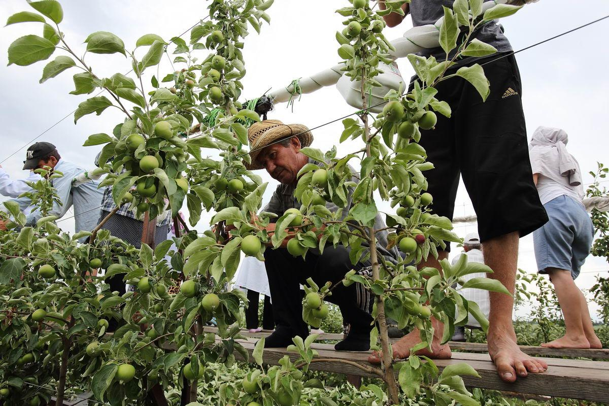 Сады Эльбруса, Кабардино-Балкария. Заказчик: Московский индустриальный банк