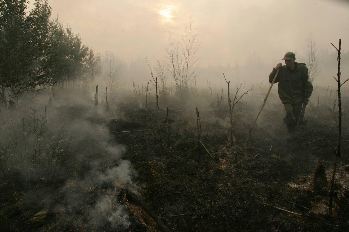 Тюменская область