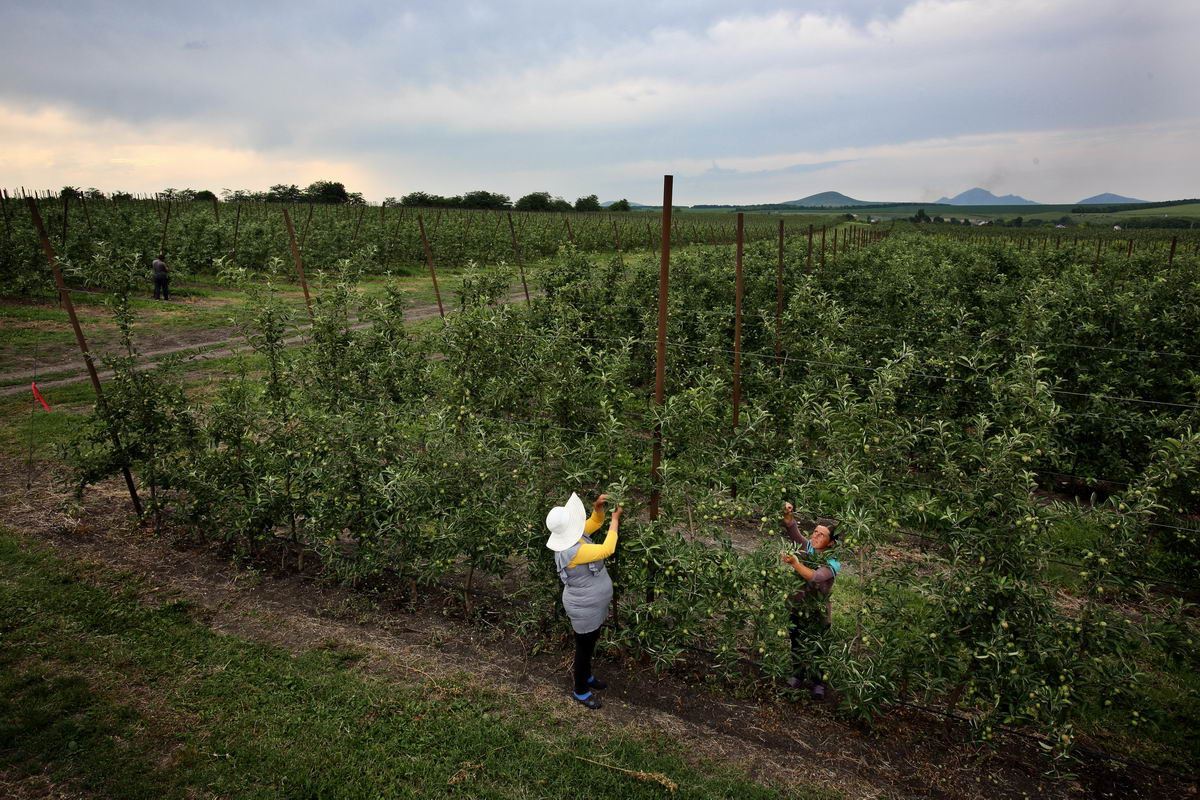 Сады Эльбруса, Кабардино-Балкария. Заказчик: Московский индустриальный банк