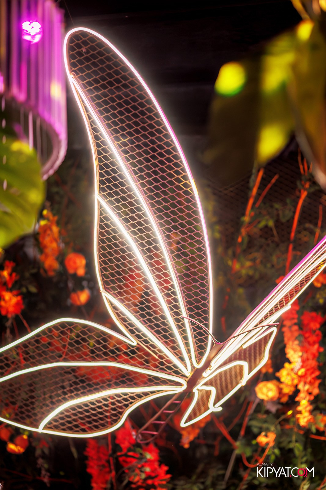 FRIENDS BAR & TERRACE. КИПЯТКОМ АЛМАТЫ!