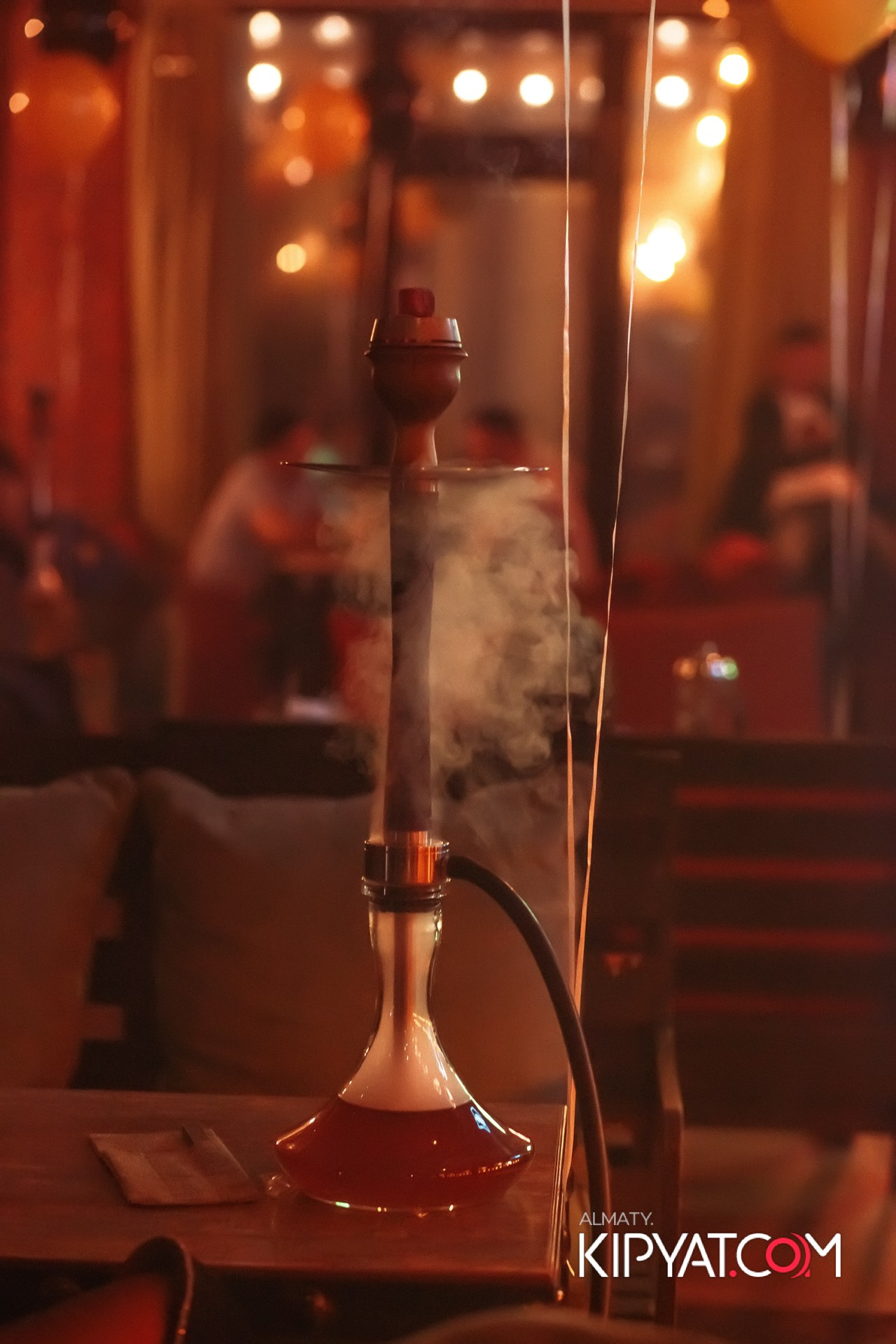 ШИШКА LOUNGE НА ЖИБЕК ЖОЛЫ. КИПЯТКОМ АЛМАТЫ!