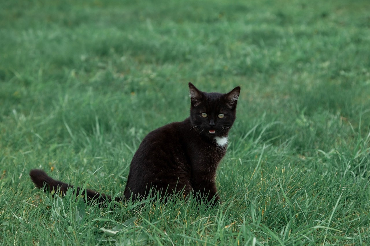 Отзывы. Свадебный и семейный фотограф в Уфе и Стерлитамаке Николай Кулагин