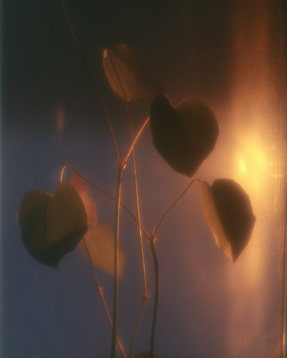 AI проекты. Фотограф Марина Гранкина