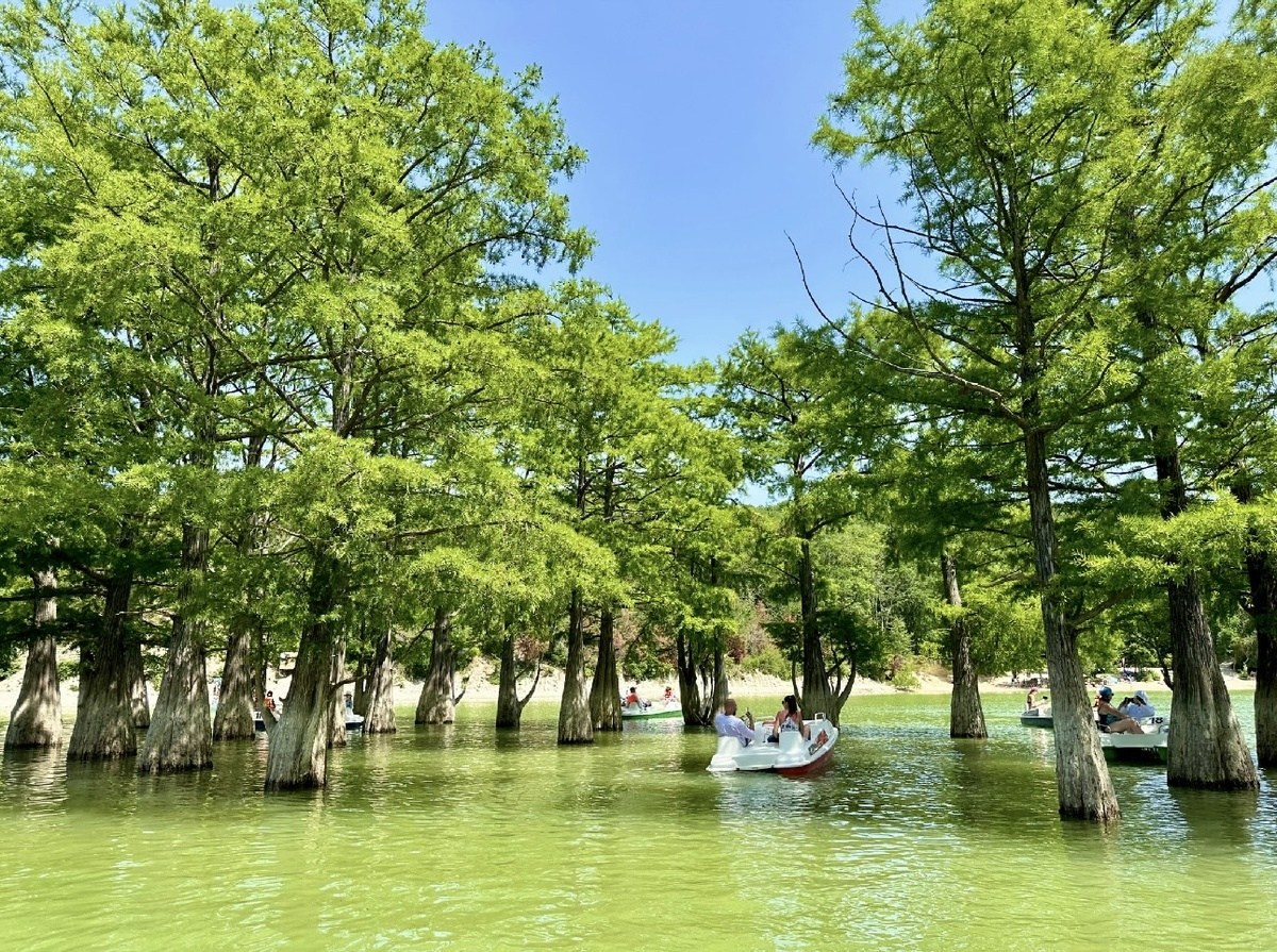 Локации в городе Анапа для семейной (лове стори и индивидуальной)съемки. Фотограф и Видеограф Анапа, Новороссийск, Краснодар. Алина и Женя