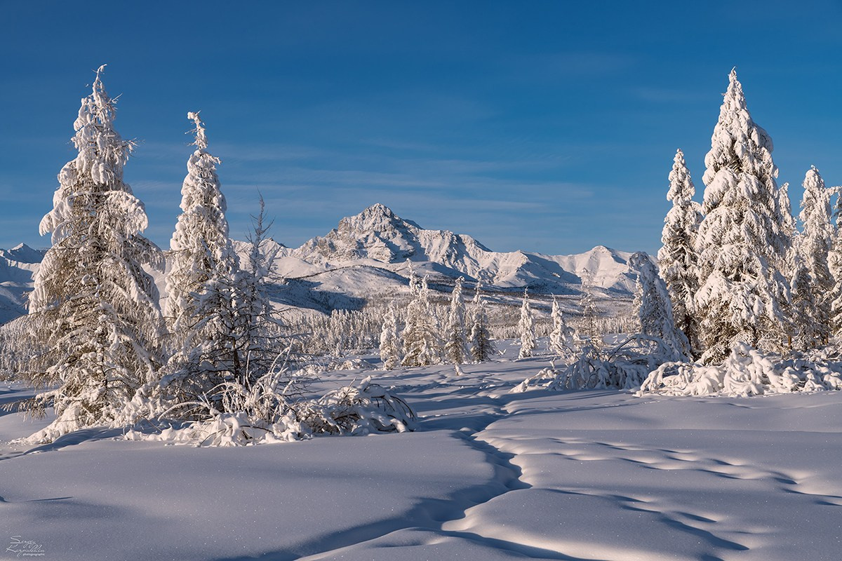 Фототур по заявкам к Эвенским оленеводам