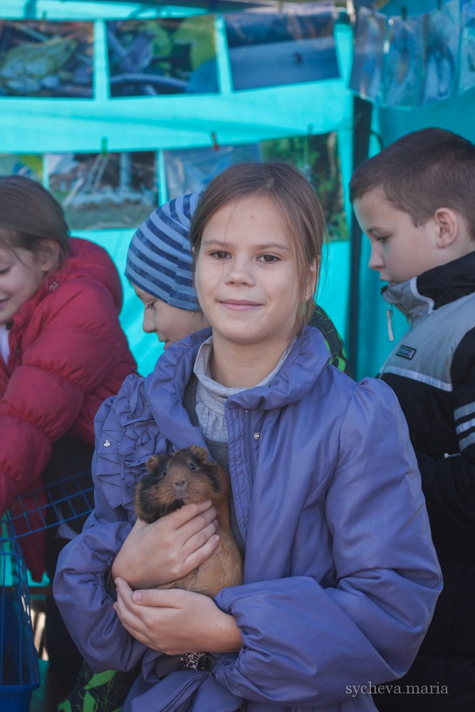 Ярмарка талантов. Детский и семейный фотограф, фотограф мероприятий Нижний Новгород