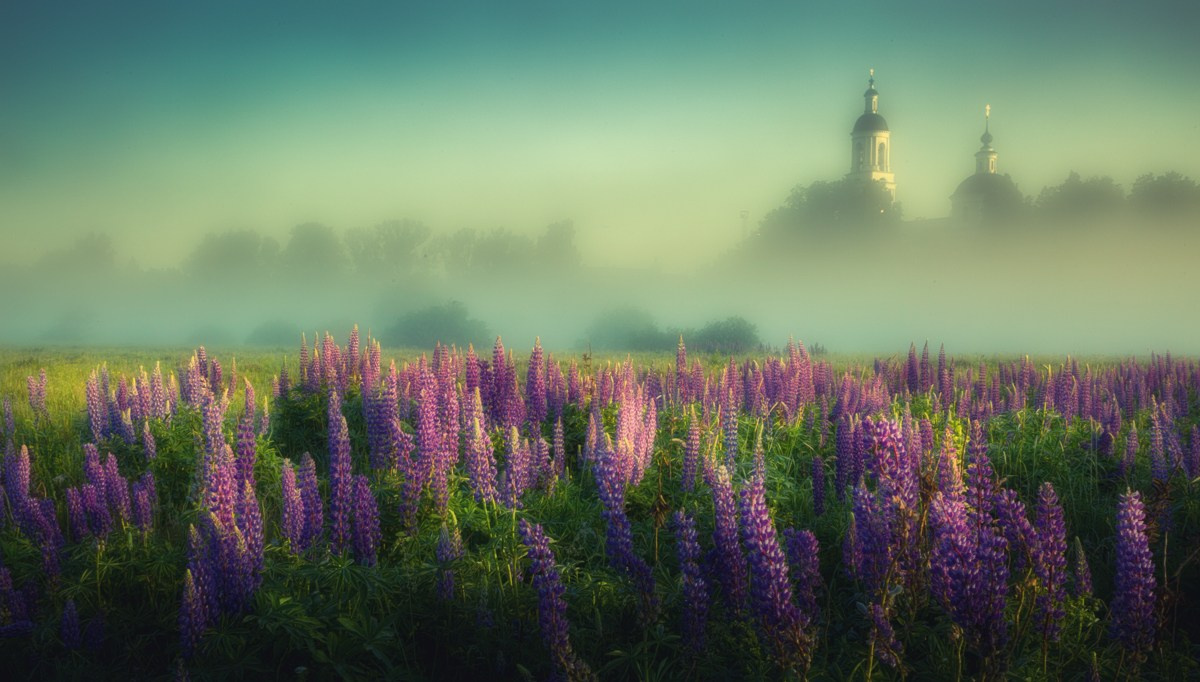 Landscape photography. Photographer Kirill Sergeev | Moscow