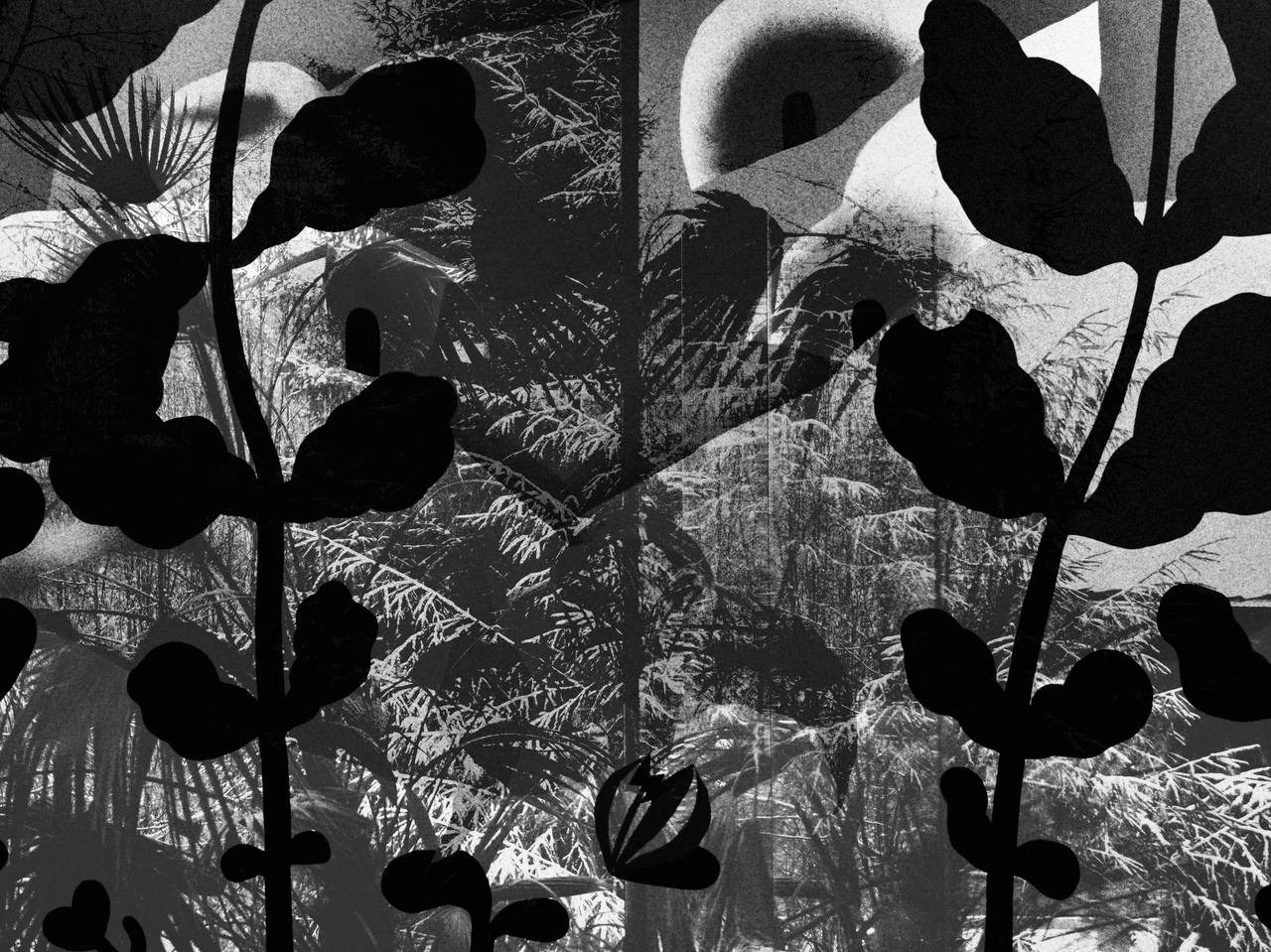 Уличная. Уральское создание