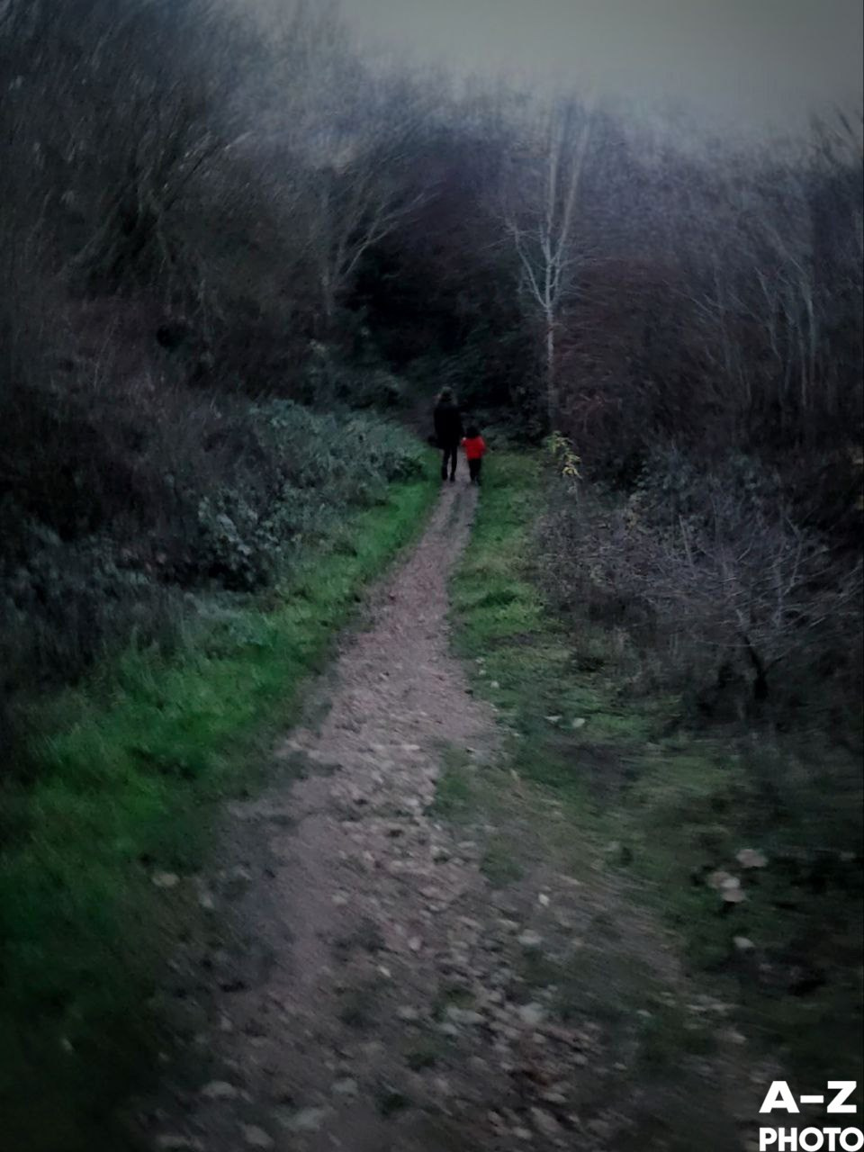 Фото недели 18.11.2025. Женский семейный фотограф Тула Москва Захарова Анна