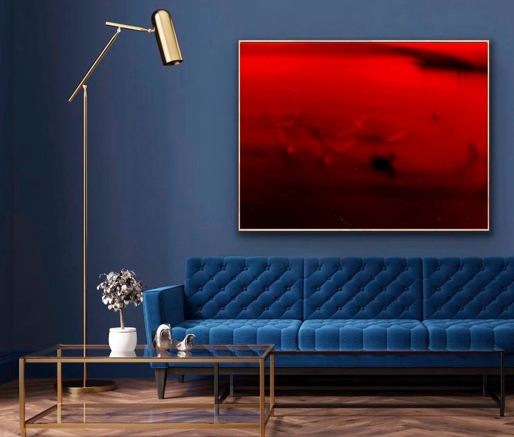 DISTURBING BEAUTY. Evgeniia Mikheeva — International visual artist