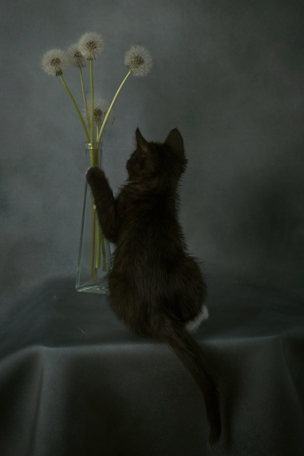 Разное. Фотограф Александр Чазов