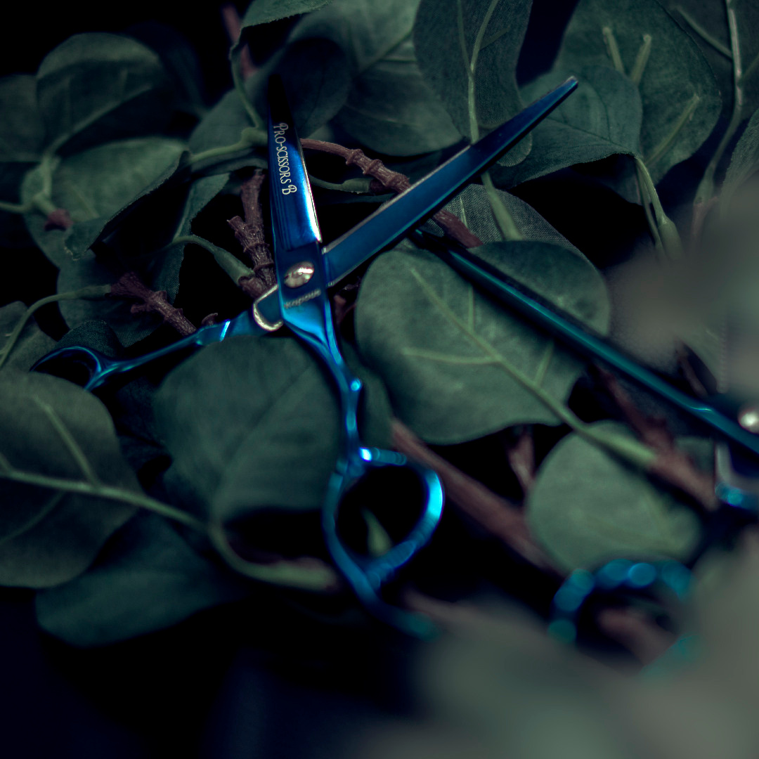 Контент. Фотограф Светлана Воронцова