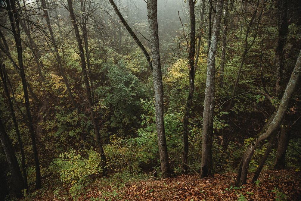 Хотылёво — одно из самых красивых мест для пейзажной фотосъемки. Фотоцентр Перспектива: выпускные альбомы, фотошкола, курсы фотографии