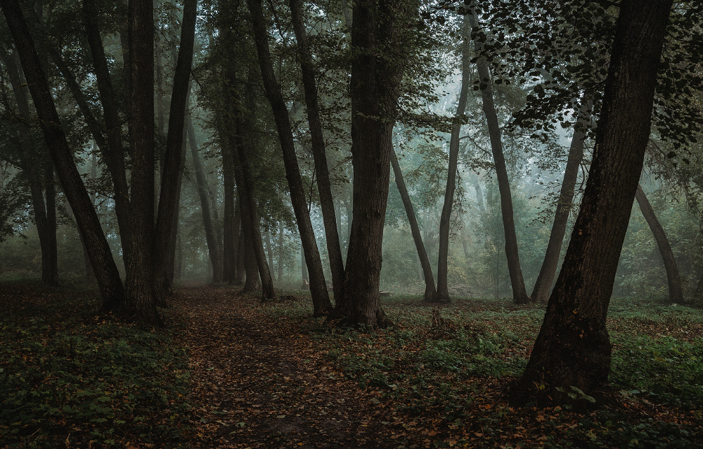 Хотылёво — одно из самых красивых мест для пейзажной фотосъемки. Фотоцентр Перспектива: выпускные альбомы, фотошкола, курсы фотографии