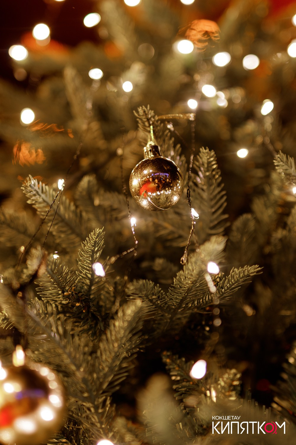 NE BRUKLIN. КИПЯТКОМ КОКШЕТАУ