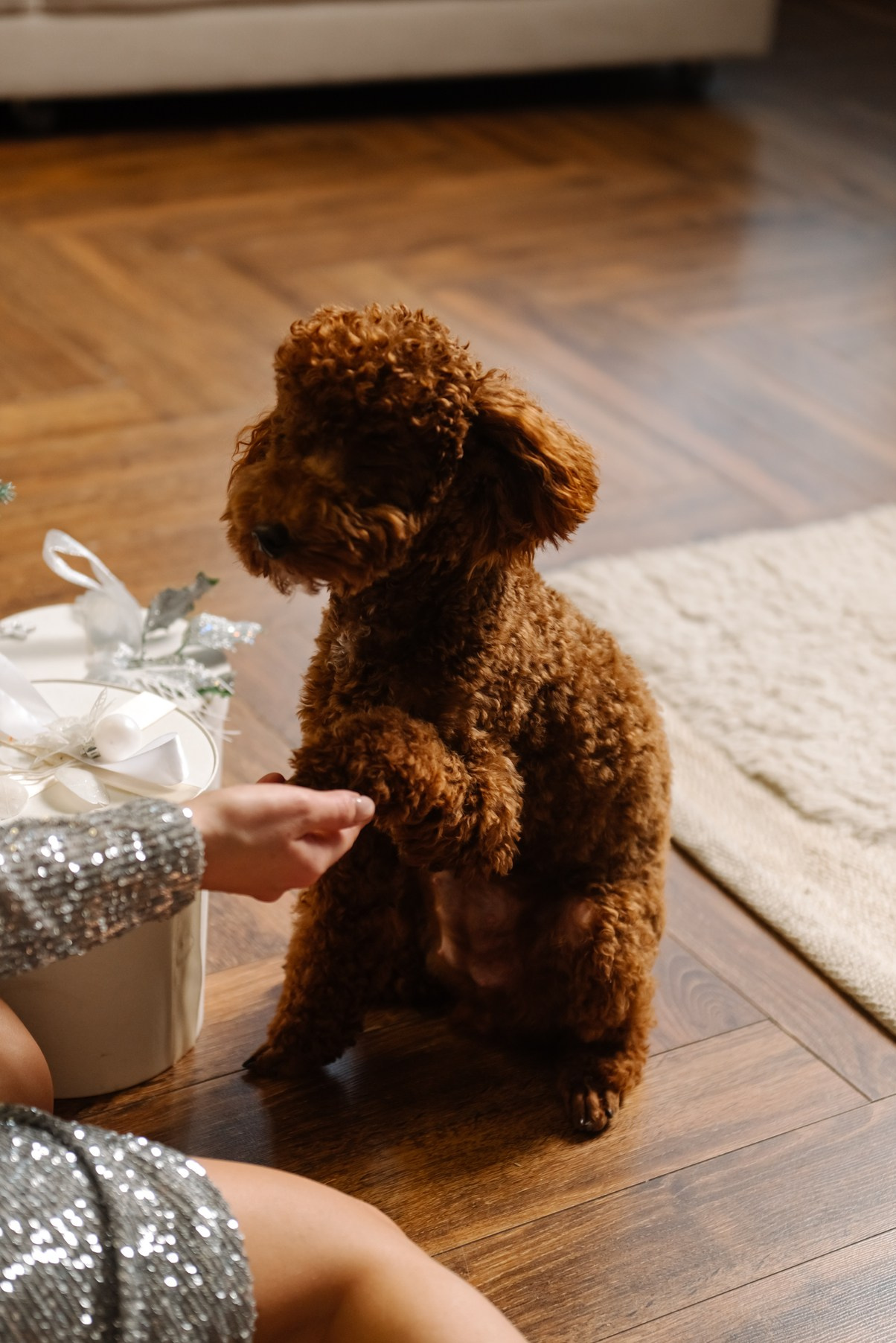 Индивидуальная. Саша с собачкой. Свадебный и сеейный фотограф в Санкт-Петербурге Елена Худякова