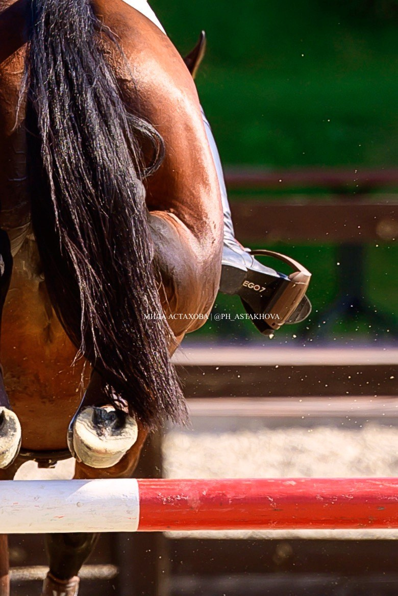 ДАРЬЯ И РЮРИК. Мила Астахова