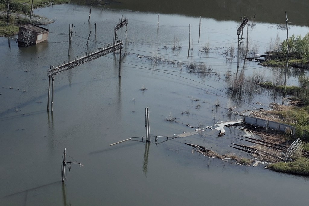 The city of white birches. Vita Stroganova