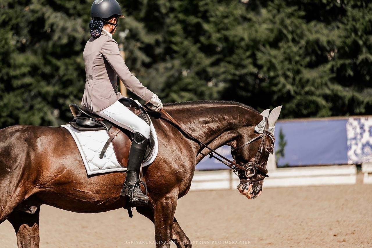 КУБОК по ВЫЕЗДКЕ КСК «РУССКИЙ АЛМАЗ». Конный фотограф Куракина Дарья • Фотосессии с лошадьми