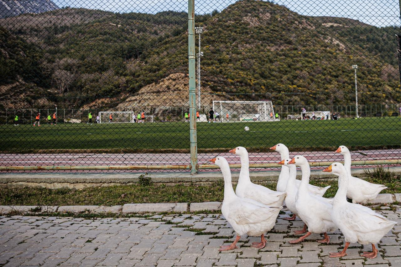 Фото. PhotoPonomarev