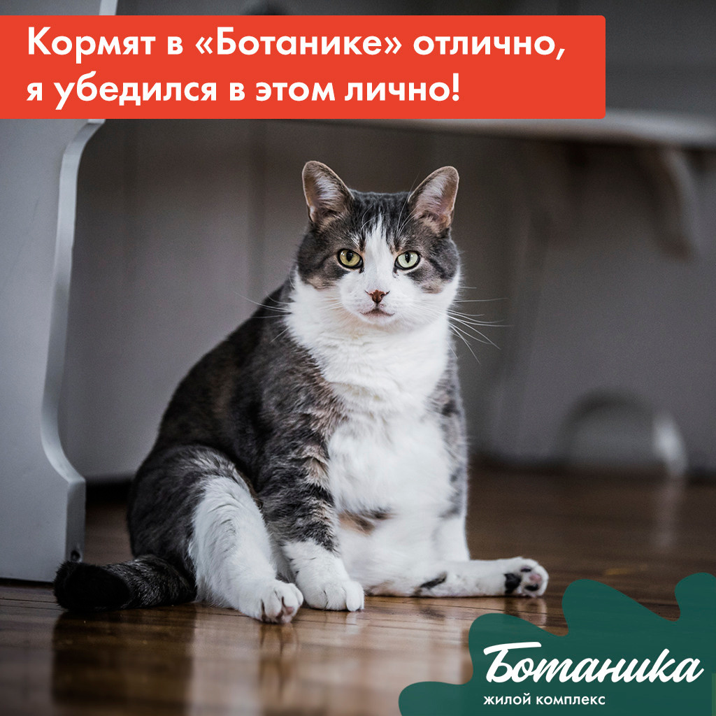 SMM. Internet advertising. Графический дизайнер и иллюстратор Айрат Давлетшин