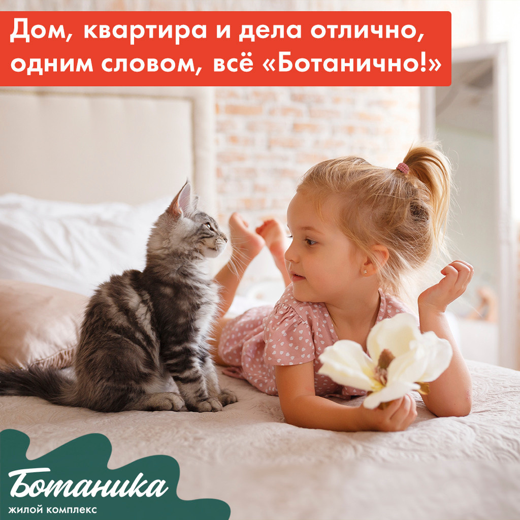 SMM. Internet advertising. Графический дизайнер и иллюстратор Айрат Давлетшин