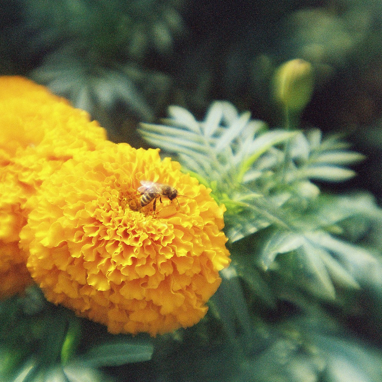 РАЗНОЕ. Андрей Пономарёв