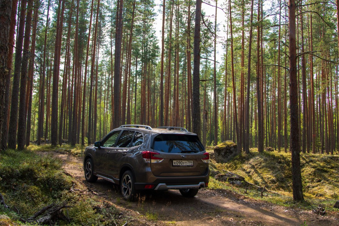 Subaru Forester SK. FM Media Сrew. Репортажные фото и видео