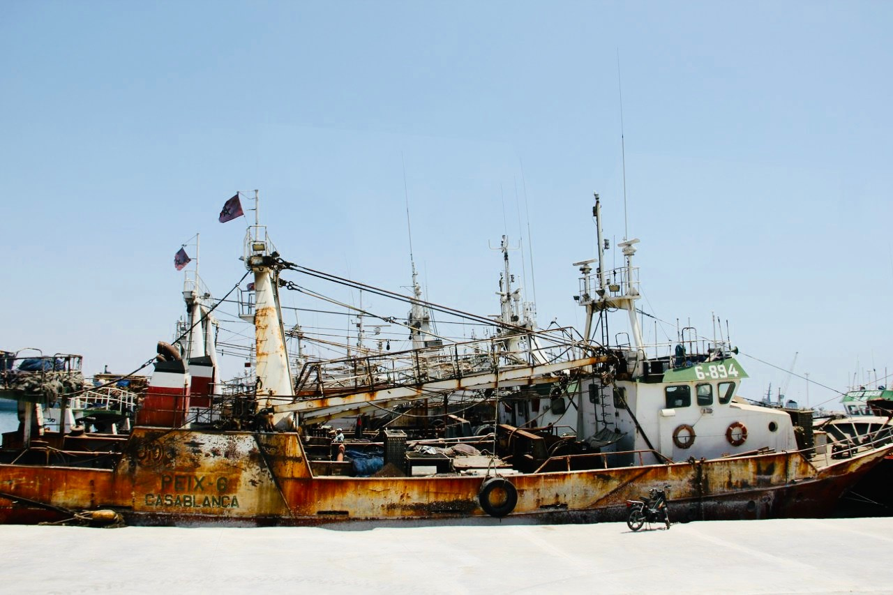 Калейдоскоп путешествий. Семейный и детский фотограф. Москва. Пронина Тома