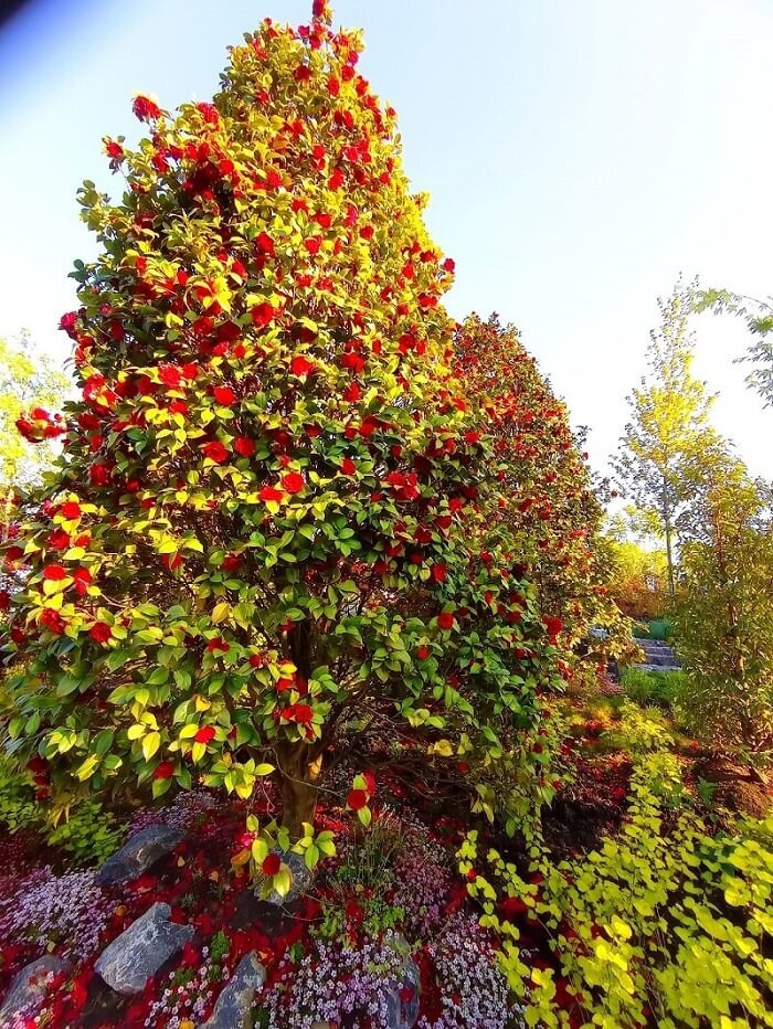 КРАСНОДАР. Свадебный и семейный фотограф/видеограф в Краснодаре Наталья Осинская