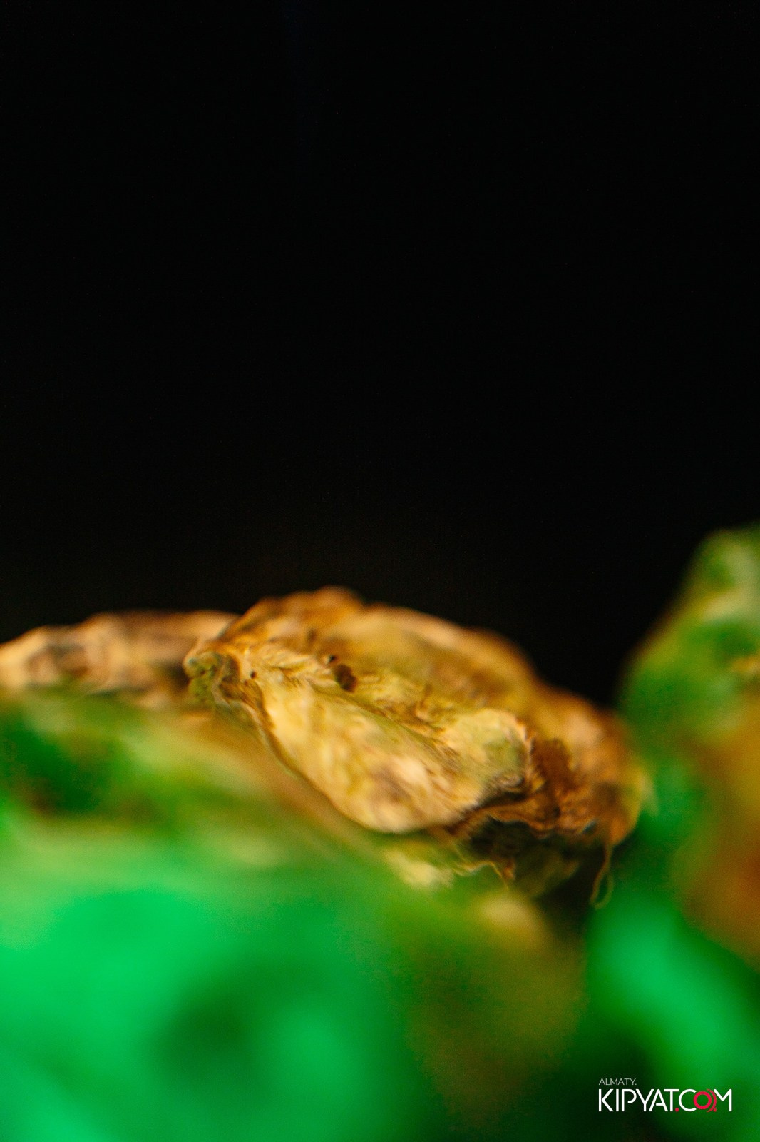 MOOD KARAOKE & TERRACE. КИПЯТКОМ АЛМАТЫ!