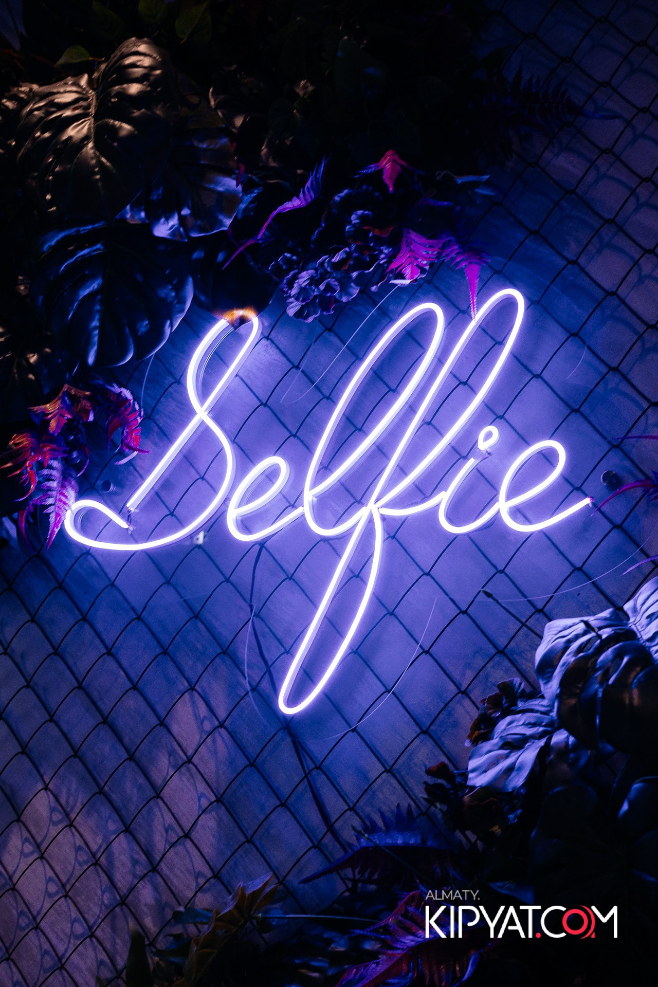 Дорогая. Я Не Пил. КИПЯТКОМ АЛМАТЫ!