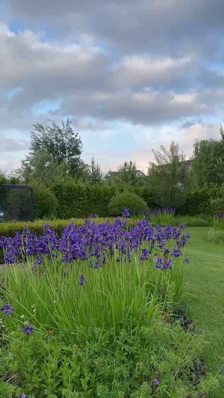 Участок в пейзажном силе. Дизайн интерьера, мебели и ландшафта на КМВ | OXY Design