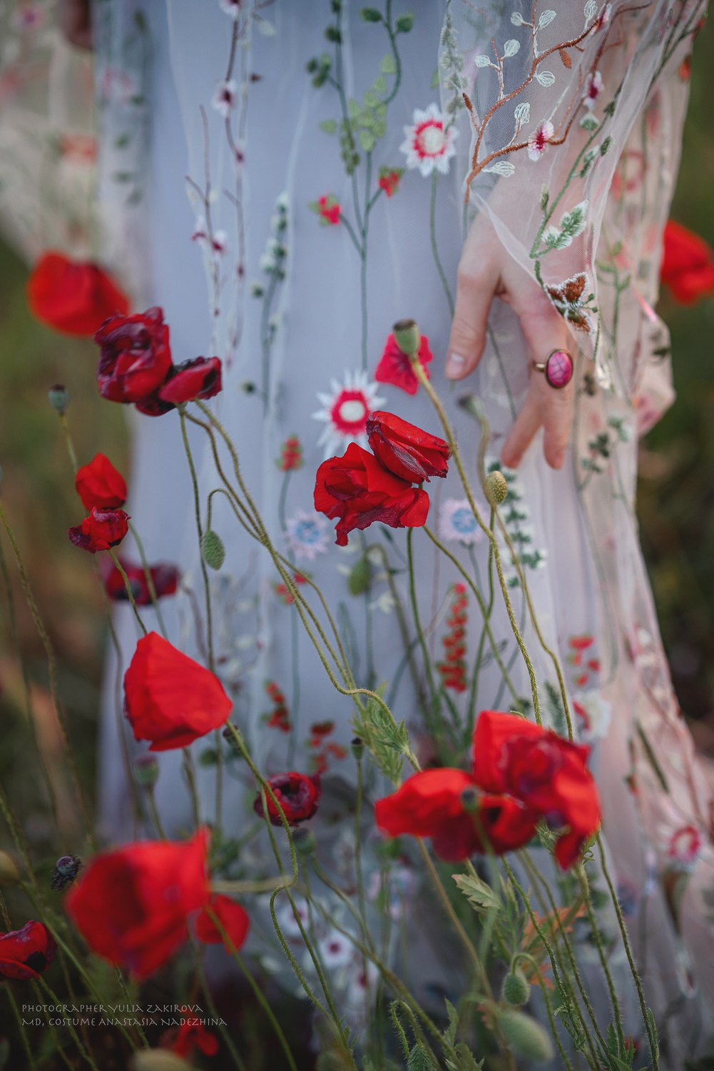 Маковое поле. Проверка