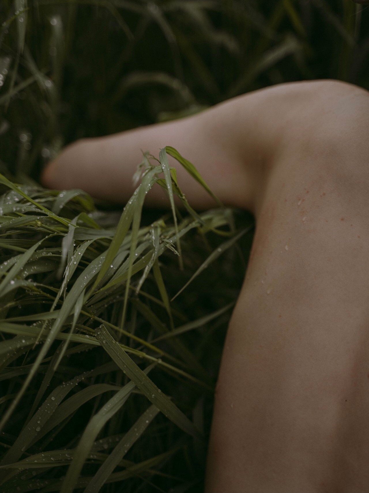 Summer. Фотограф, оператор, режиссер монтажа в Москве Сюзанна Евсюкова