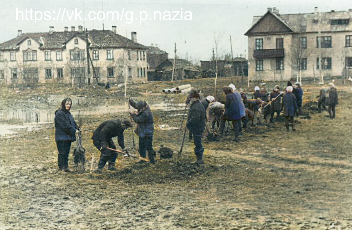 1968 г. Субботник в г. п.Назия. История Назиевского городского поселения