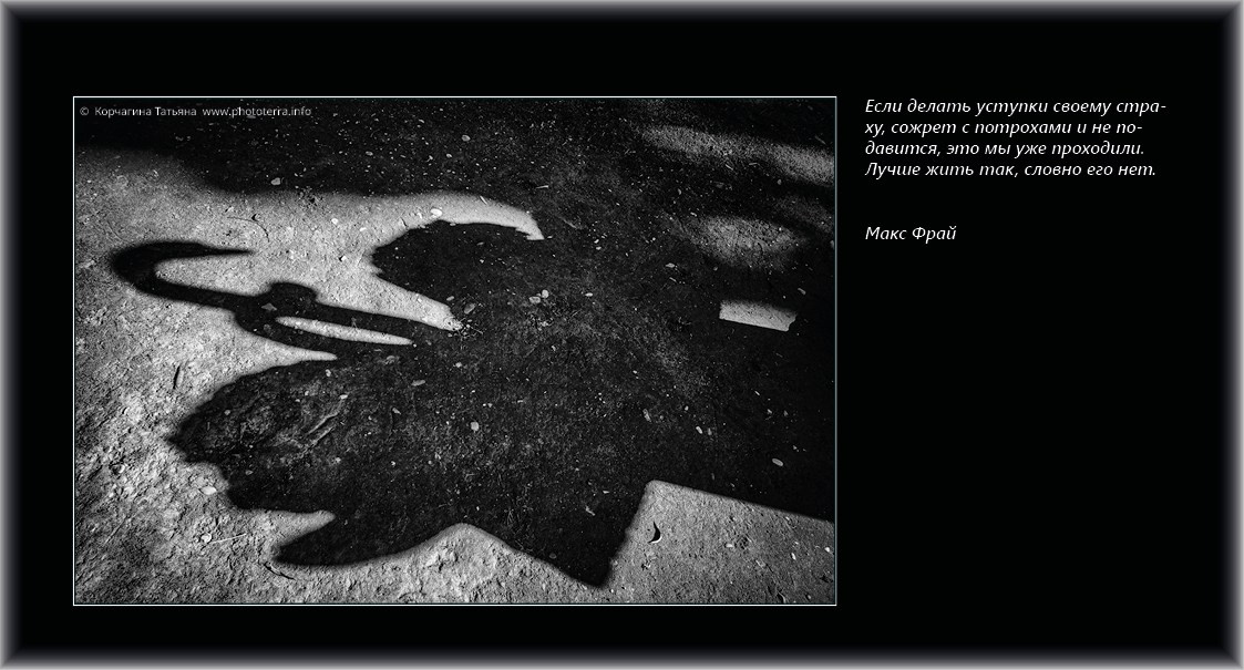 Совет дня — ориентир. Татьяна Корчагина. Фотограф, художник. Обучение фотографии