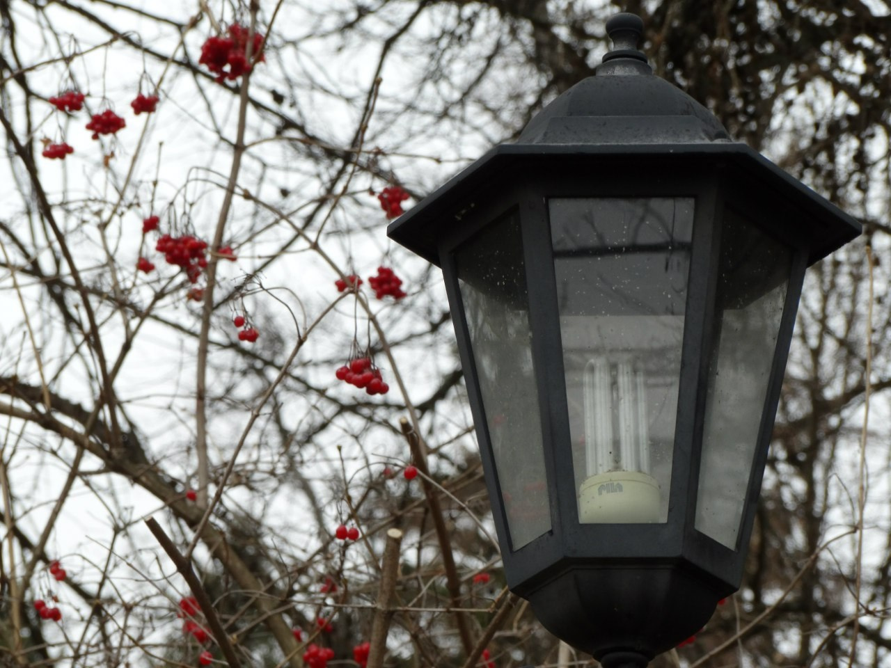 Середниково — Piligrim Porto — Братцево — Сходненская чаша | 09.04.2016. Галерея Фантим