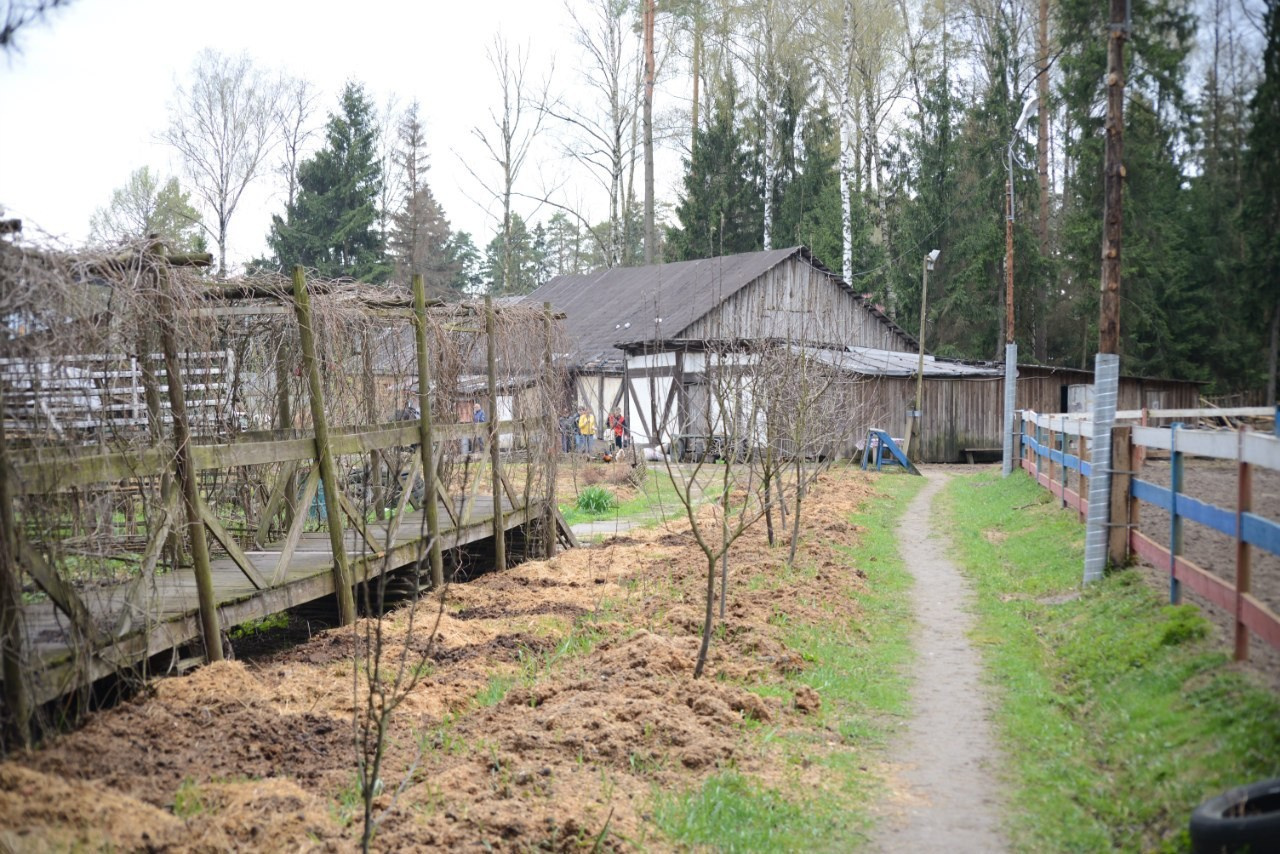 Лошадинг | 01.05.2015. Галерея Фантим